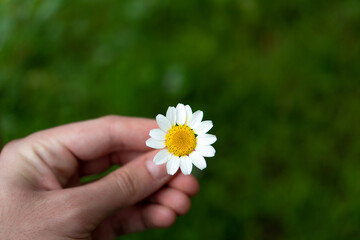 Inicio primavera