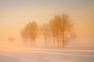 Fototapeta na wymiar Winter rural landscape, Poland around Malbork