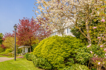 Outdoor landscape in Vancouver, British Columbia, Canada.