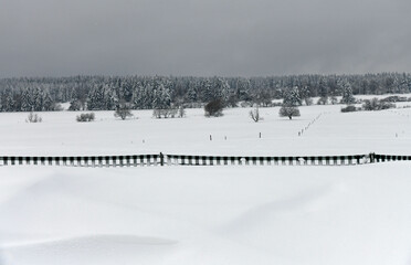 Fototapeta na wymiar schöne Winterlandschaft vor grauem Himmel