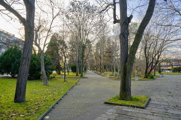 City park in Bulgaria, Kardzali. Dried trees and yellow leaves on bottom with green grass near cobblestone walking path.