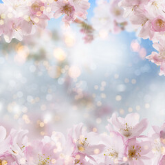 Fototapeta na wymiar Cherry blossom background on white summer spring background with bokeh.