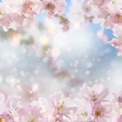Fleecedeken met foto Cherry blossom background on white summer spring background with bokeh. © drubig-photo