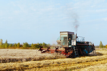 Fototapeta premium Combine harvester harvests ripe wheat. Concept of a rich harvest. Agriculture image.