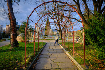 Corrosive and orange vine trellis in open park in Kardzali Bulgaria during early in the morning with sunshine.07.01.2021. Bulgaria, Kardzhali.