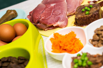 Preparing natural organic food for pets at home. Raw ingredients for pet food in bowl