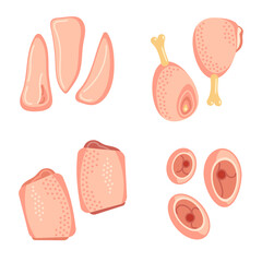 Dressed chicken meat and parts