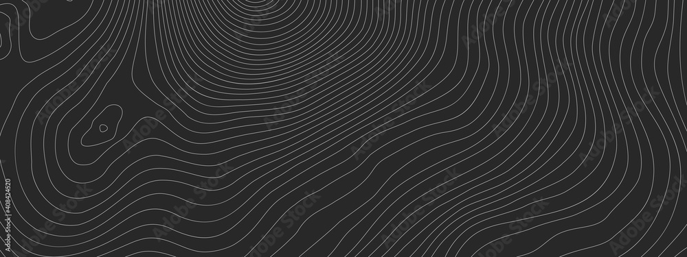 Wall mural the stylized height of the topographic contour in lines and contours. the concept of a conditional g