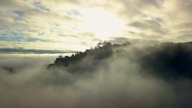 Tropical rainforest rising above humid jungle misty clouds, aerial view