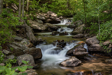 Naklejka na ściany i meble A Peaceful Creek in the Woods