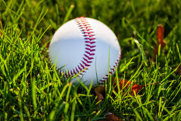 baseball on grass