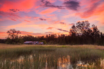 Fototapeta na wymiar Beautiful sunset over Teds Hut and dam .Sedgefield near Singleton. Hunter Valley of N.S.W. Australia.