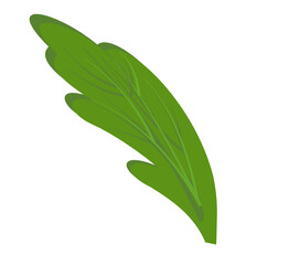 leaf