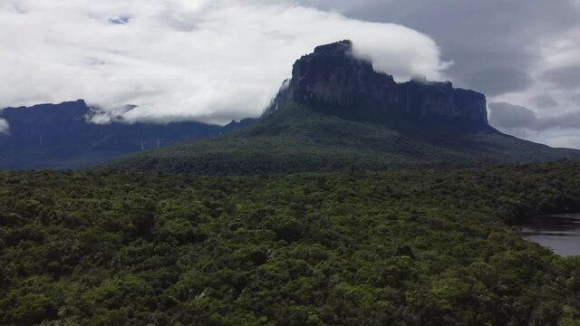 Aerial view of the Auyantepuy mesa, a river, and the Amazon rainforest, Canaima National park, Venezuela, panorama curve