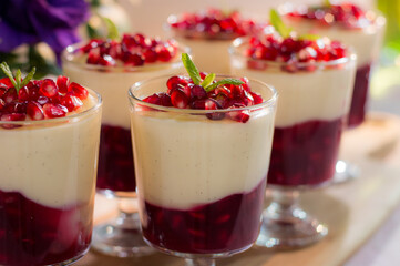 panna cotta with raspberry