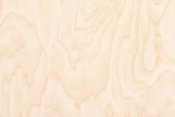 abstract background with natural wood texture. light wooden plank