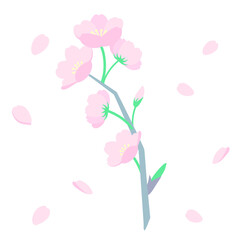 桜のベクターイラスト