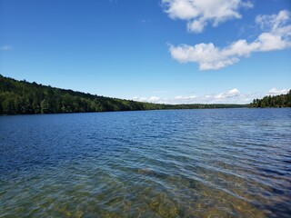 lake and forest