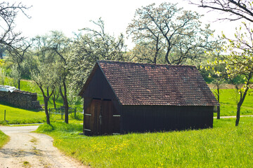 Obraz premium wooden hut