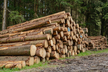 Felled Forest Trees Lying On A Pile Ready For Collection