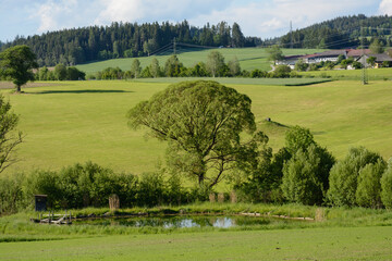 Fototapeta na wymiar Romantic Countryside In Spring With A Pond, Meadows And Fields