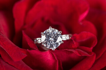 Closeup Diamond gem wedding ring in red rose