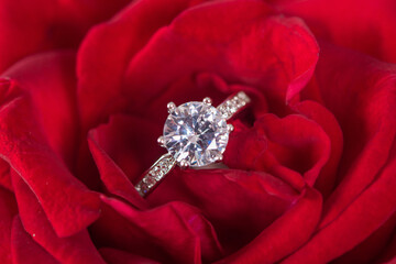 Closeup Diamond gem wedding ring in red rose