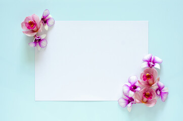 Empty white paper for text with orchids flower of two coner on pastel blue background.