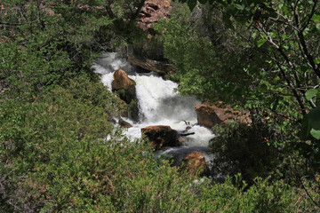 Tapeats Creek in heavy summer flow by Upper Tapeats Campground in Grand Canyon National Park,...