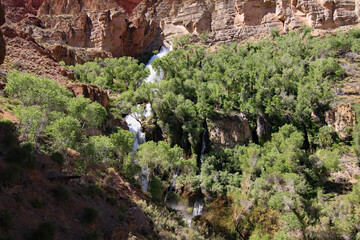 Thunder River flowing from its source in canyon wall towards confluence with Tapeats Creek in Grand...
