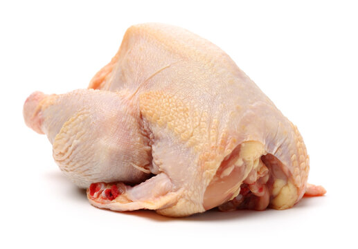 raw hen on a white background