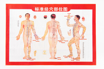 Fototapeta na wymiar acupuncture points.traditional Chinese medicine