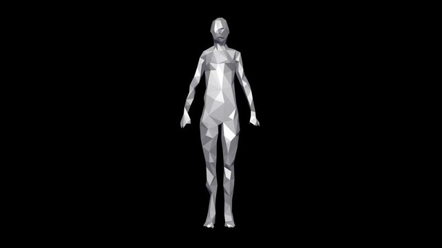 3d female model. Low resolution polygon woman transforming to high res solid  surface. 3d animation rendering isolated on dark background