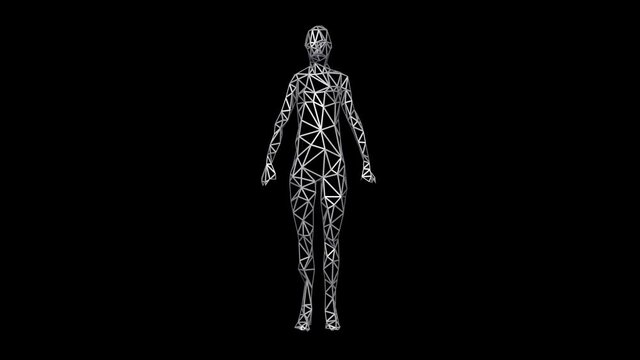 3d female model. Low resolution polygon woman transforming to high res wireframe  surface. 3d animation rendering isolated on dark background