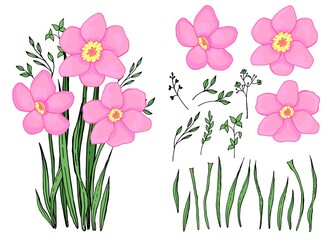 Spring wildflowers. A bouquet of snowdrops. Botanical elements set. Hand drawing. Line  art.