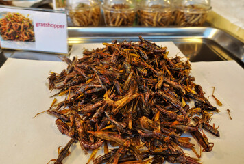 Thai exotic food. Grasshoppers, fried in oil, lie on a metal tray. Market in Bangkok. Thailand