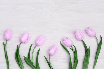 Blooming pink flowers tulip  on white wooden table with copy space. Spring flowers for holiday, women or at mothers day. Flat lay.