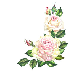 bouquet of watercolor roses isolated