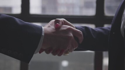 Two business professionals shake hands in front of a window