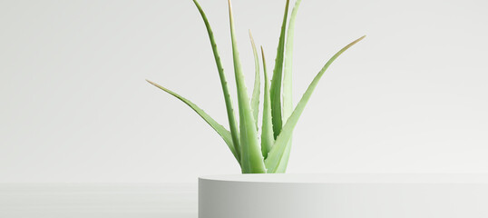 White product display podium with aloe vera leaf on white background. 3D rendering