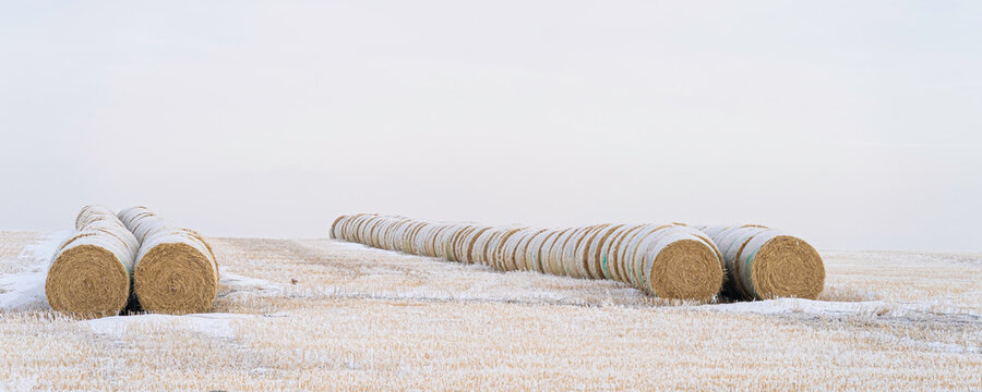 Stack of bales of hay on farm field in winter