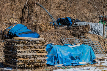 Stack of wooden stakes for ginseng crop.