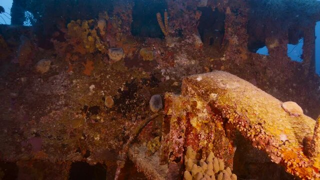 Ship wreck "Superior Producer" in turquoise water of coral reef in Caribbean Sea, Curacao