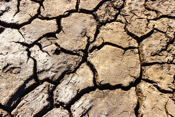 Brown texture of cracked ground on bottom of dried river in period of summer drought