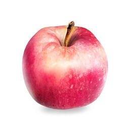Color apple on white background
