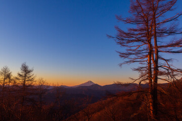 Obraz premium 奥多摩、丹波山村七ツ石より、早朝の富士山