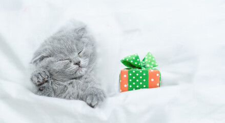 Cute kitten sleeps under blanket with gift box. Top down view. Empty space for text