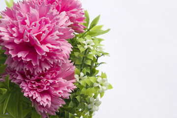 pink carnation flower made from soap on white background. pink cloves flowers .