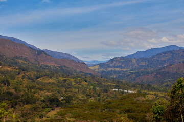Fototapeta premium landscape in the mountains