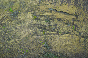 Texture of old gray concrete wall for background